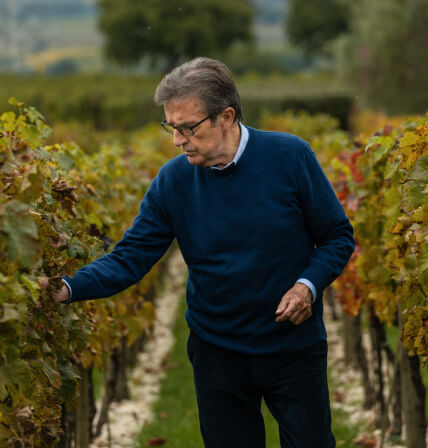 Riccardo Cotarella Winemaker Suadela